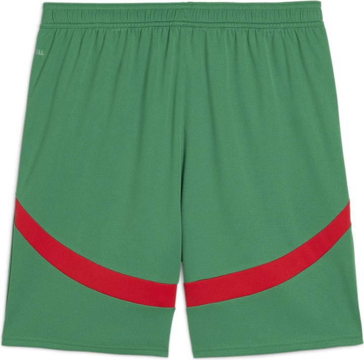 Produktbild Puma spielshorts aroc 2024 (M)