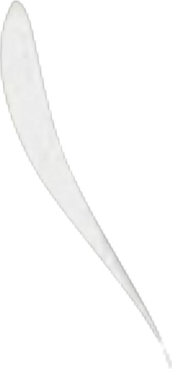 Produktbild Veja Condor 2 (43)