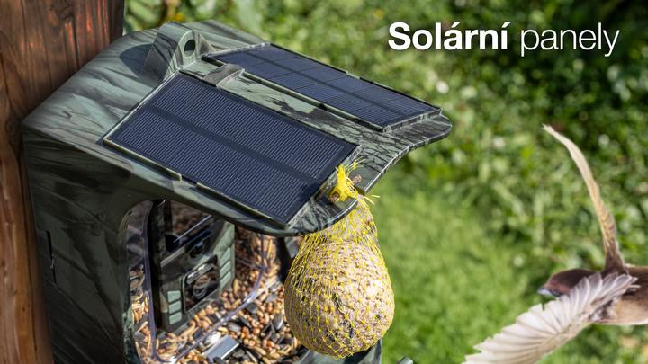 Produktbild Evolveo StrongVision BirdFeeder - Smart Bird Feeder with Camera and Solar Panel