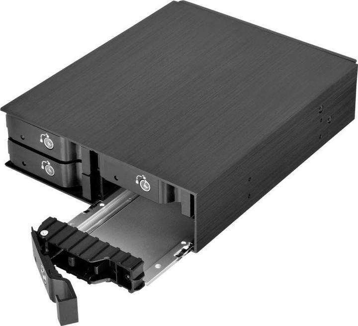 Produktbild Silverstone FS204 Gehäuse für Speicherlaufwerke