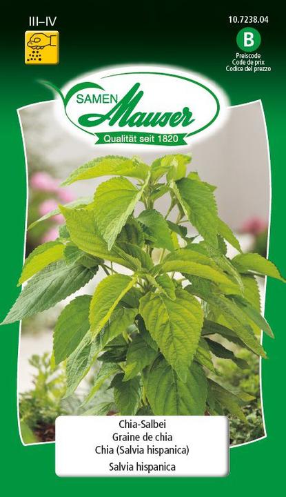 Produktbild Samen Mauser Chia-Salbei (Kräutersamen)