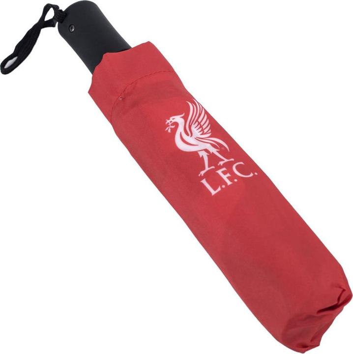 Actual product image Score Draw Folding Umbrella