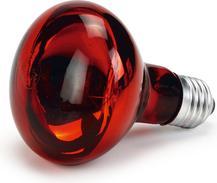 Image du produit Olba Lampe Chauffante Infrarouge R95 60 W