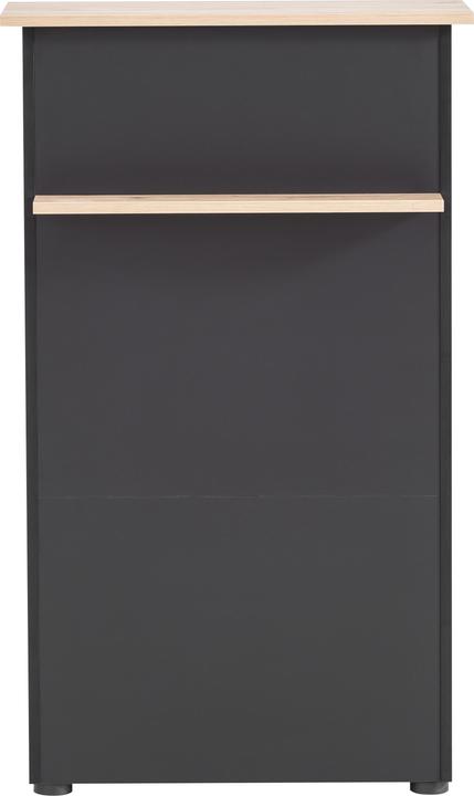 Actual product image Schildmeyer Reception desk (66 x 44 x 110.5 cm)