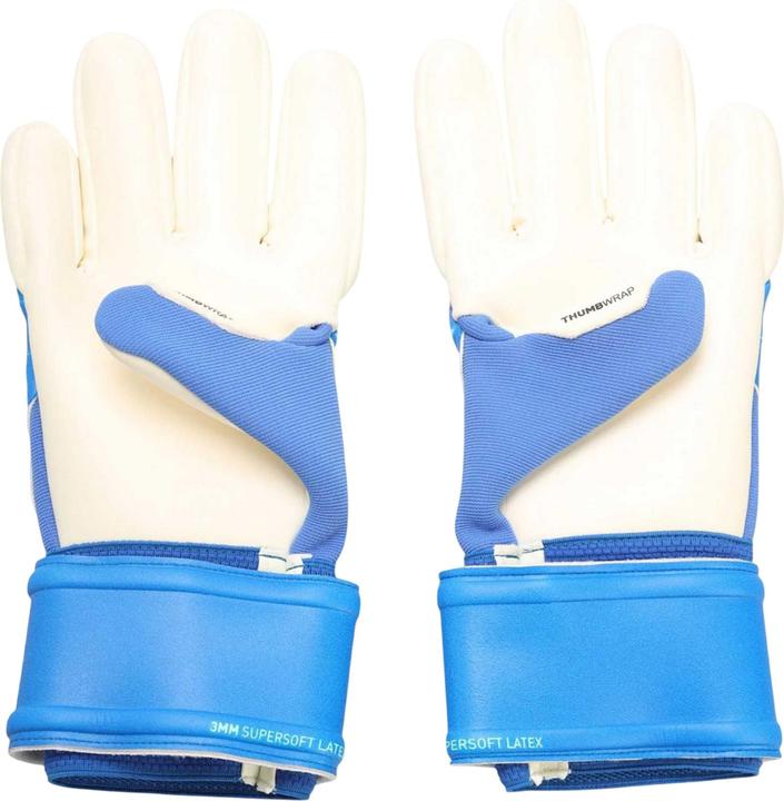 Produktbild Puma Future Match NC TorhüterHandschuhe (10)