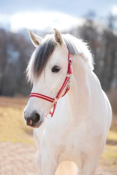 Produktbild Kerbl Hippo