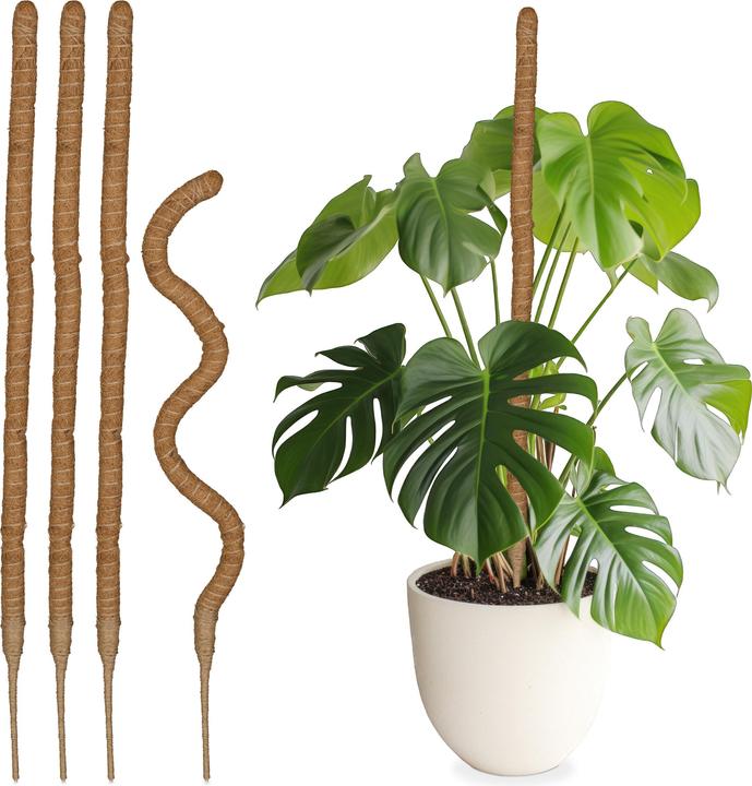 Marrone chiaro, Natura