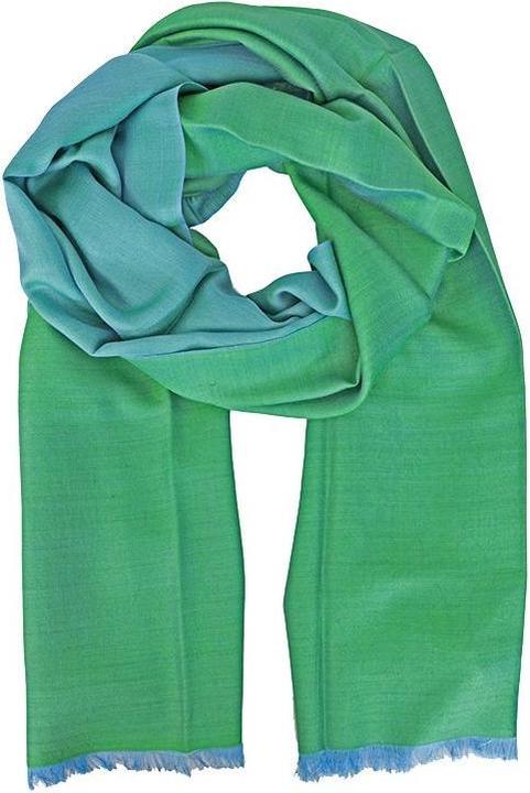 Produktbild Womenepal Seidenschal Bicolor