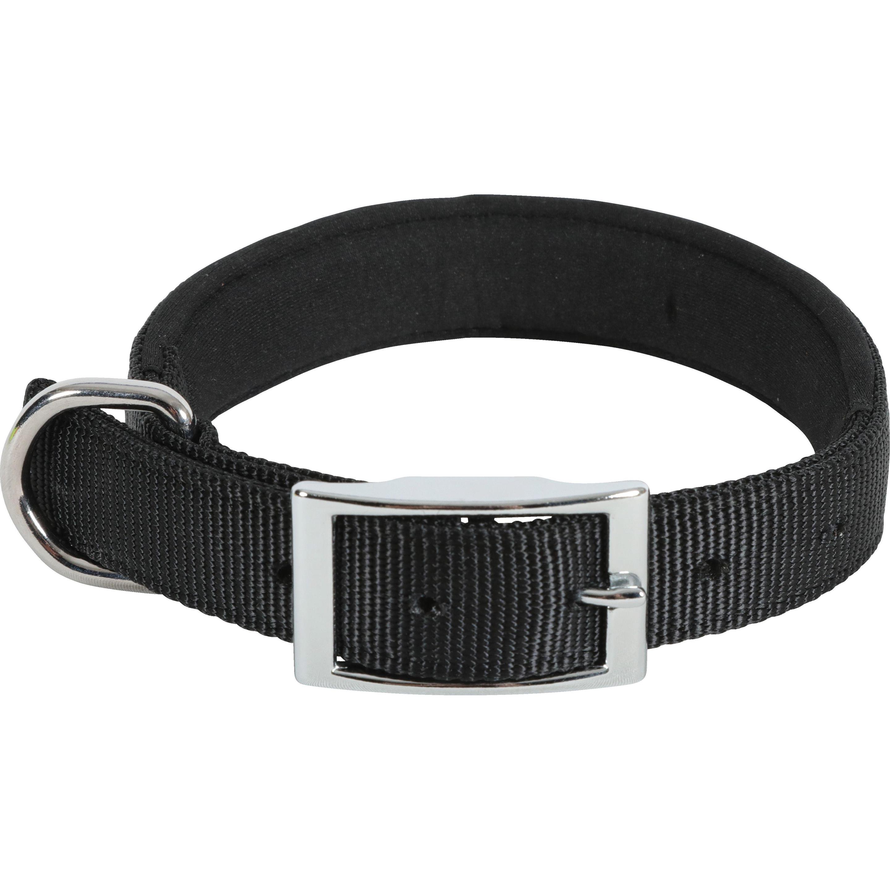 Thumbnail - Zolux nylon collar KOMFORT 40 cm (2, Hund, Allgemein), Halsband + Leine