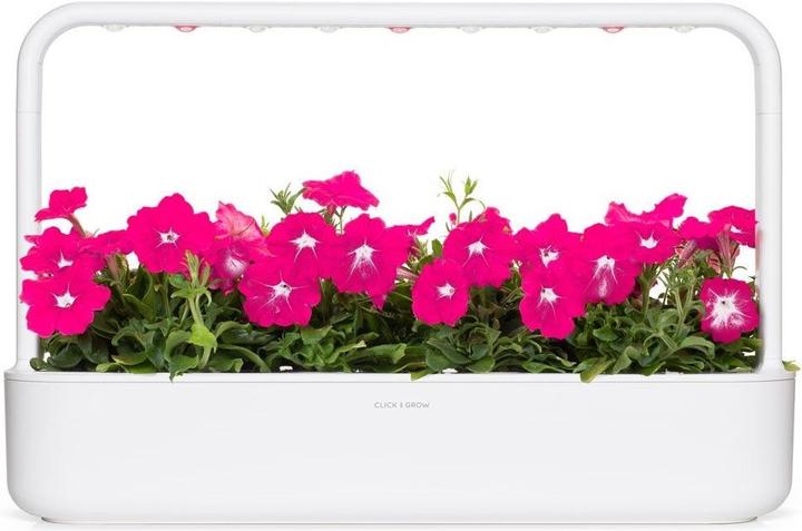 Produktbild Click and Grow Pinke Petunie (Pflanzensamen)