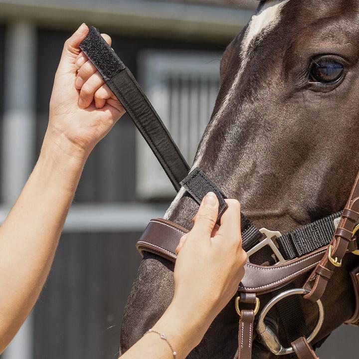 Immagine prodotto Qhp Capestro per cavallo