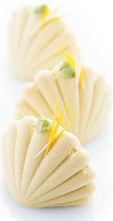 Produktbild Martellato Silikonform Calipso Muscheln