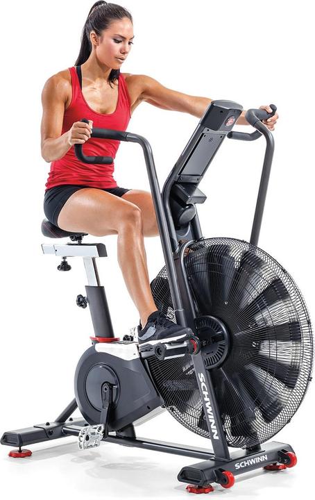 Actual product image Schwinn AD8 Airdyne Bike
