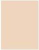 Actual product image Sisley Stylo Correct No 0 (Beige)