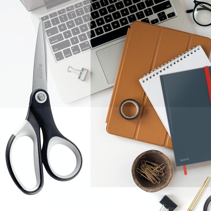 Produktbild Leitz Titan Büroscheren (10.50 cm)