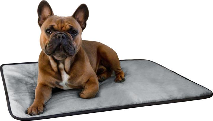 Actual product image Aspero Dog blanket Lund (Dog)
