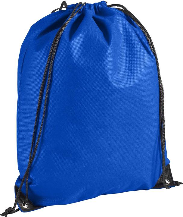 Bleu roi