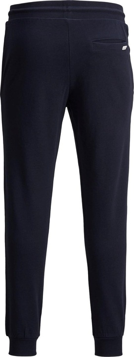 Actual product image Jack & Jones Gordon Sweathose (L)