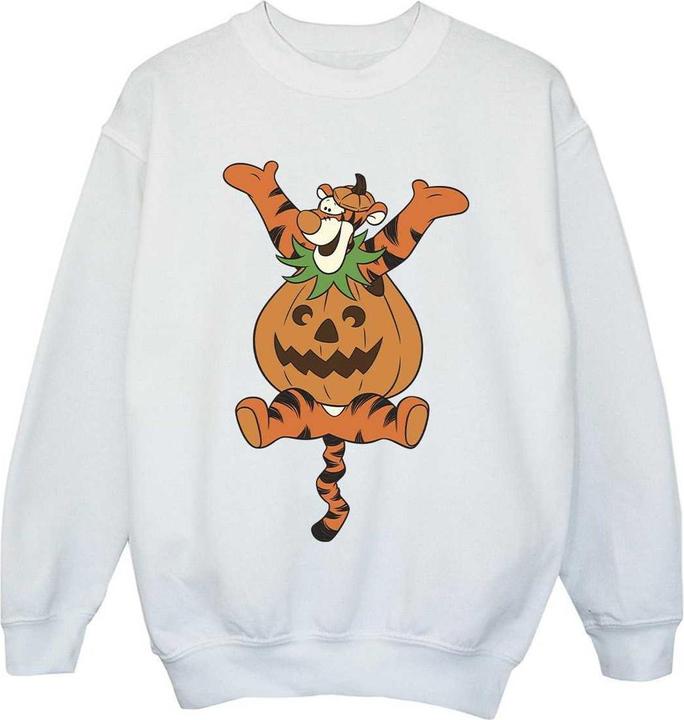 Produktbild Winnie the Pooh Sweatshirt Mädchen (116)
