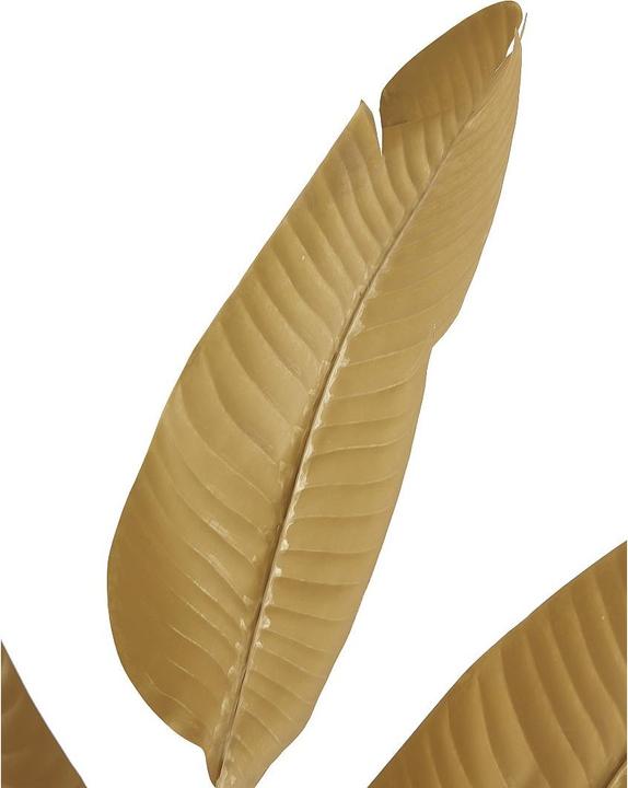 Immagine prodotto Ozaia Nendaz (160 cm)