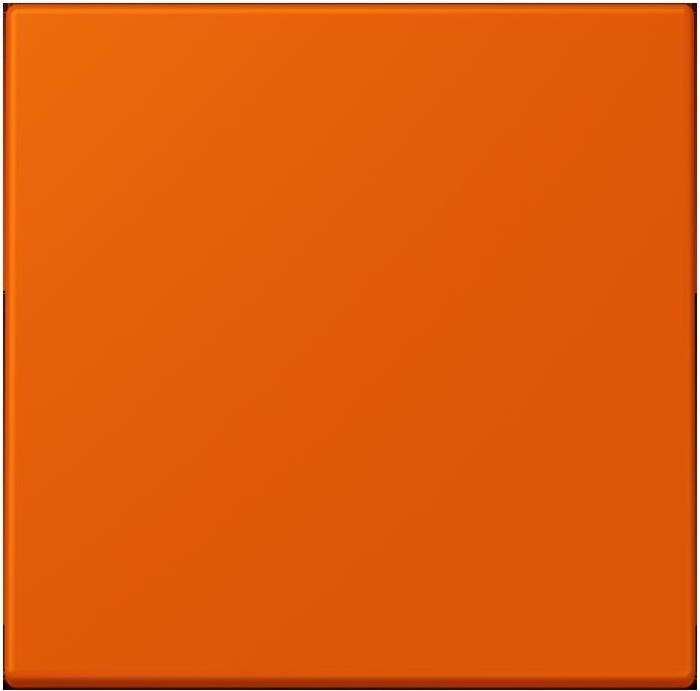 Produktbild JUNG Steuertaste