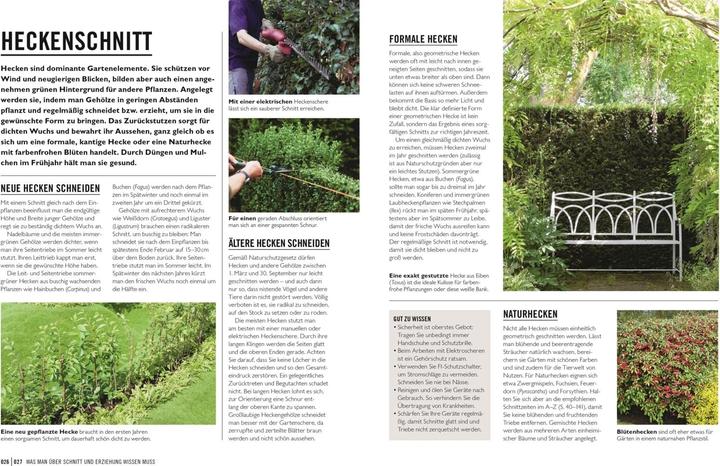 Produktbild Grünes Gartenwissen. Pflanzen richtig schneiden (Deutsch, Reinhard Ferstl, Stephanie Mahon, 2022)