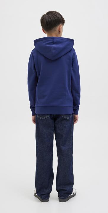 Actual product image Jack & Jones Jorskull Nature Sweat Hood Sn Jnr (152)