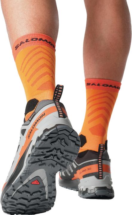 Produktbild Salomon XA Pro 3D V9 GTX (42)