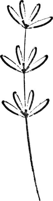 Immagine prodotto Artoz Timbro a fiore