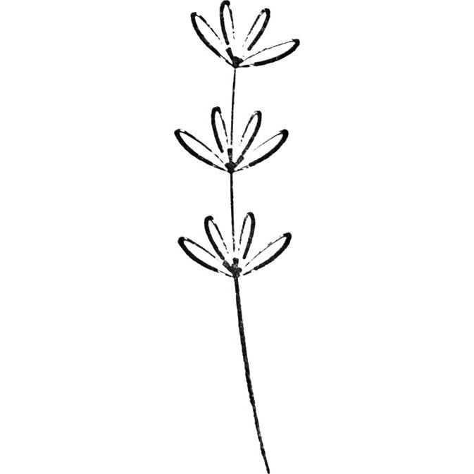 Thumbnail - Artoz, Stempel, Stempel Blume