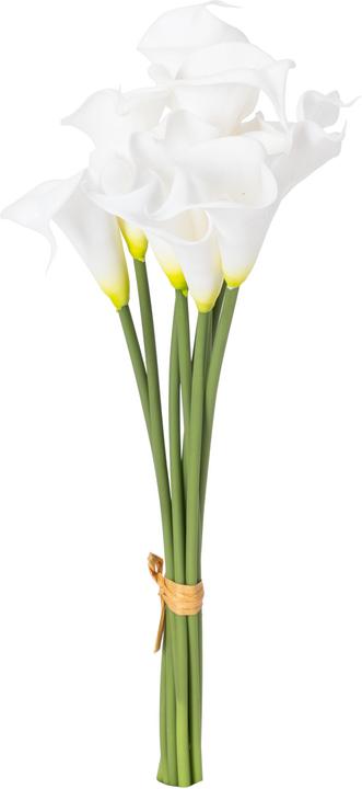 Produktbild Domoletti Calla Lily (32 cm)