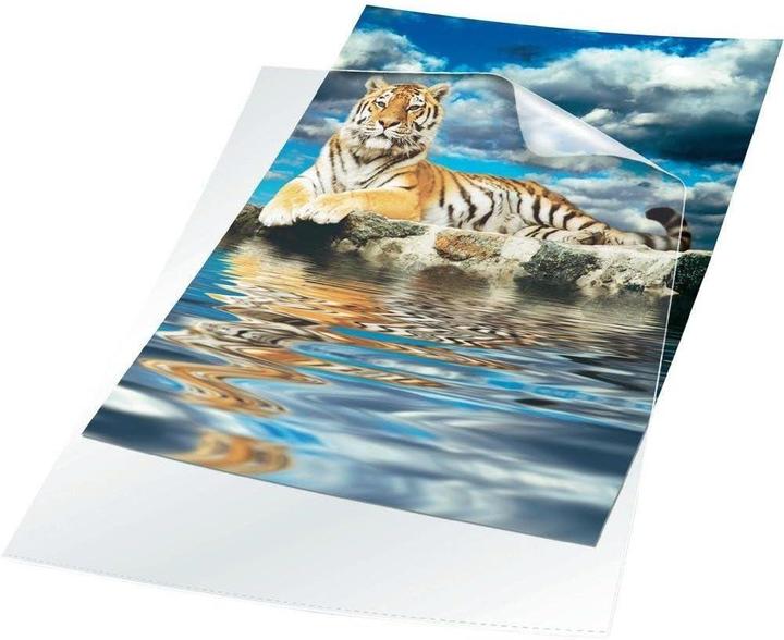 Image du produit Durable Pochette transparente en prolypropylène A4 (A4, 100x)
