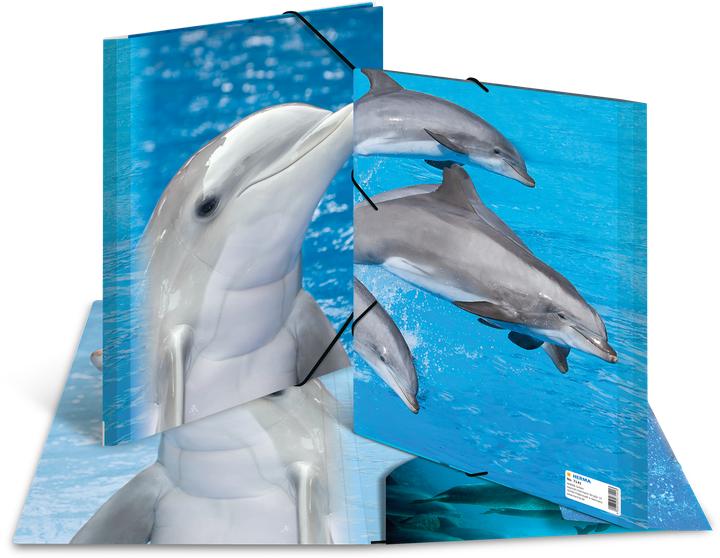 Immagine prodotto HERMA Cartella (A4, 1 x)