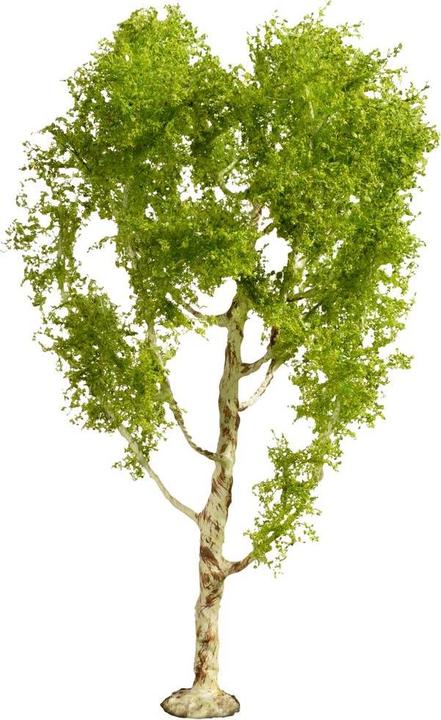 Actual product image Noch 20125 Tree bog birch 210 mm 1 pc.