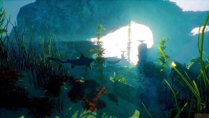 Produktbild Deep Silver Maneater Day One Edition (PS4, Multilingual)