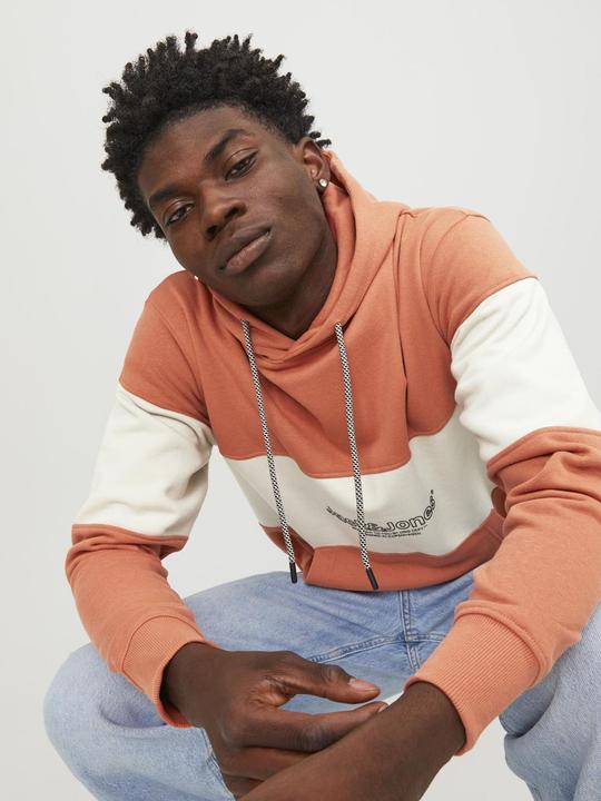 Actual product image Jack & Jones Sweat Hoodie (XL)