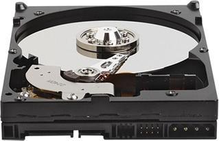 Actual product image WD WD3200AAKS Caviar SE16 320GB (0.32 TB, 3.5")