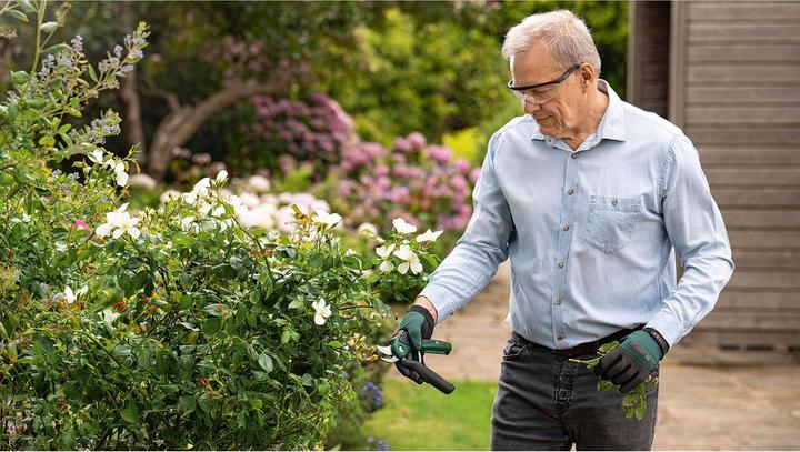 Productafbeelding Bosch Home & Garden Accu-tuinschaar EasyPrune