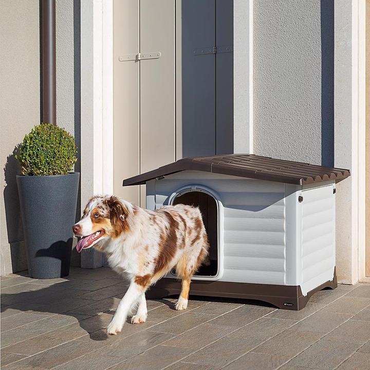 Immagine prodotto Ferplast Cuccia per cani in plastica Dogvilla 90 (Cuccia per cani)