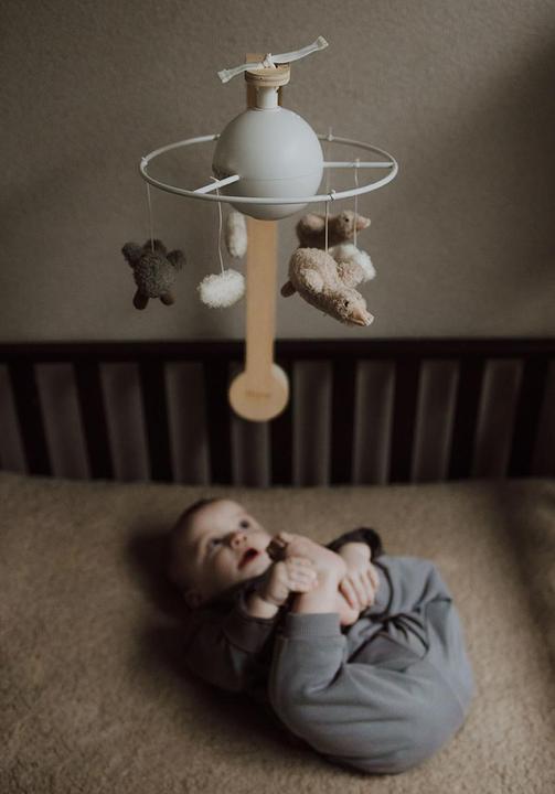 Immagine prodotto Flow BabyMobile Liva