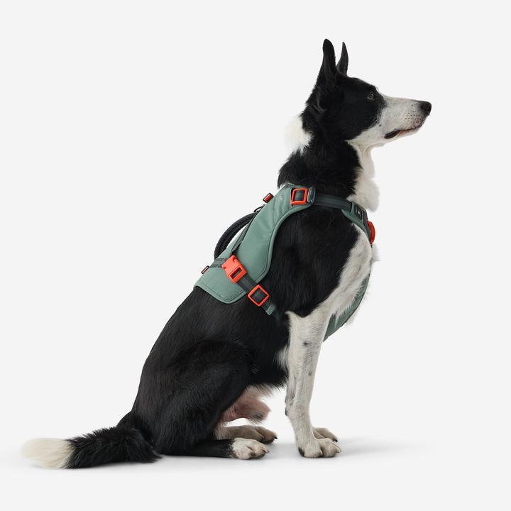 Produktbild Caperlan Hundegeschirr Wandern (L)