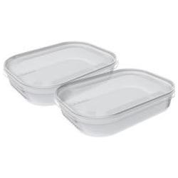 Plast team Gefrierdosen-Set Helsinki, 0,7 Liter, 2er Set, Vorratsbehälter
