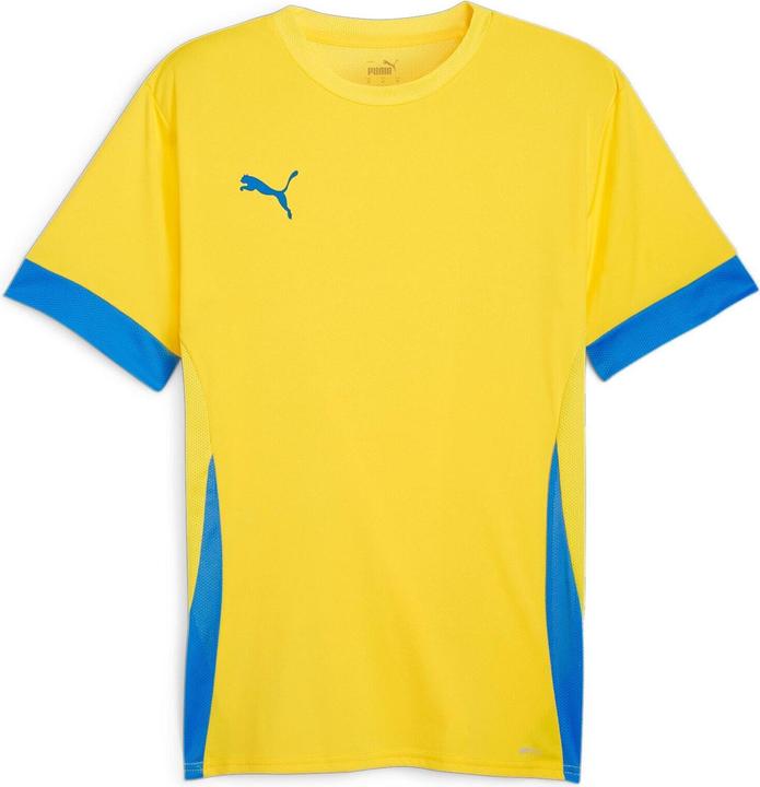 Immagine prodotto Puma TeamGoal (XS)