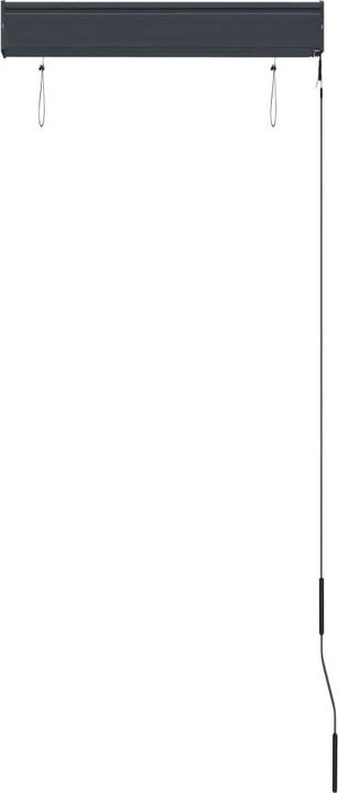 Image du produit vidaXL Aussenrollo (60 x 250 cm)