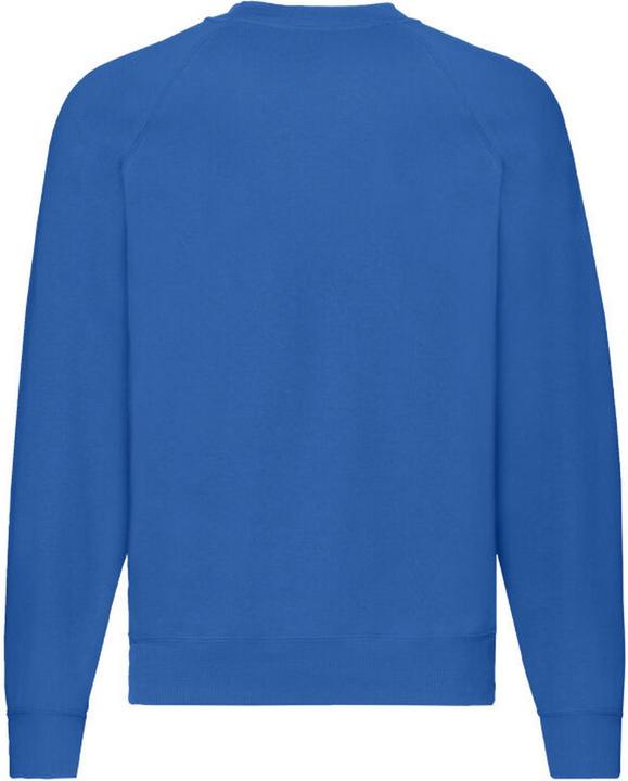Actual product image Fruit of the Loom Mens Premium Set-in Sweatshirt (M)
