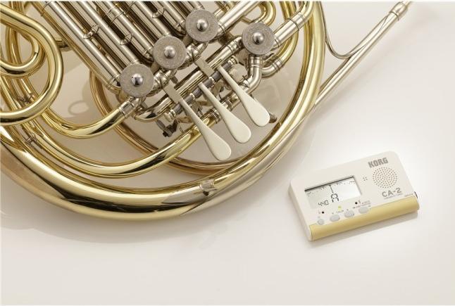 Actual product image Korg Ca-2