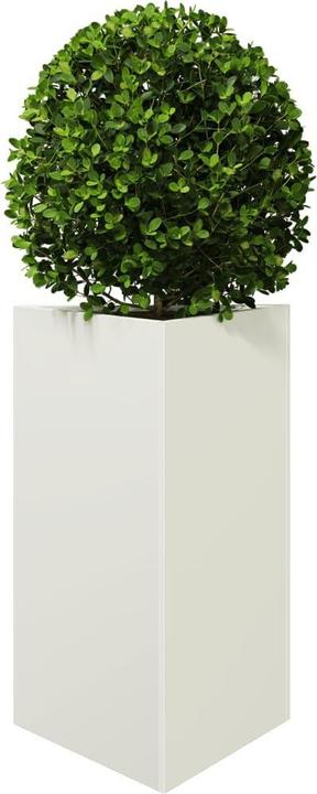 Produktbild vidaXL Pflanzkübel