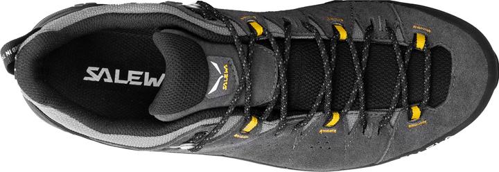 Image du produit Salewa Alp Trainer 2 GTX (40.5)