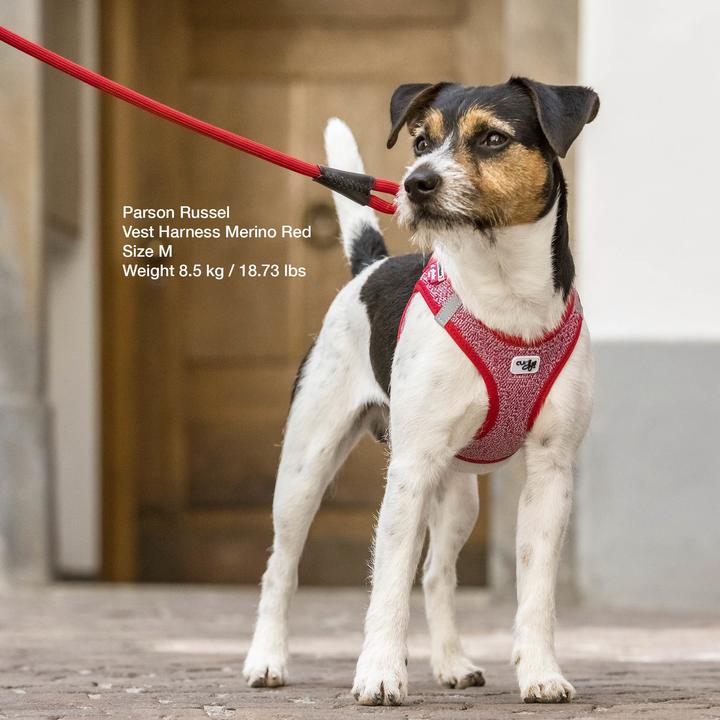 Immagine prodotto Curli Stoviglie Merino (XL, Cane, Generale)