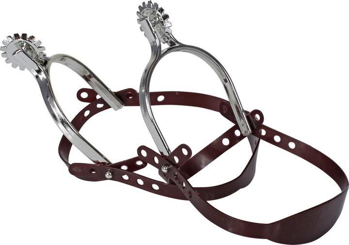 Produktbild Widmann Sporen Paar silber